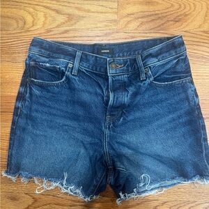 Express Dark Blue Frayed Hem Jean Shorts